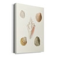 thumbnail image 2 of Pastel Knorr Shells IX Premium Gallery Wrapped Canvas - Ready to Hang, 2 of 9