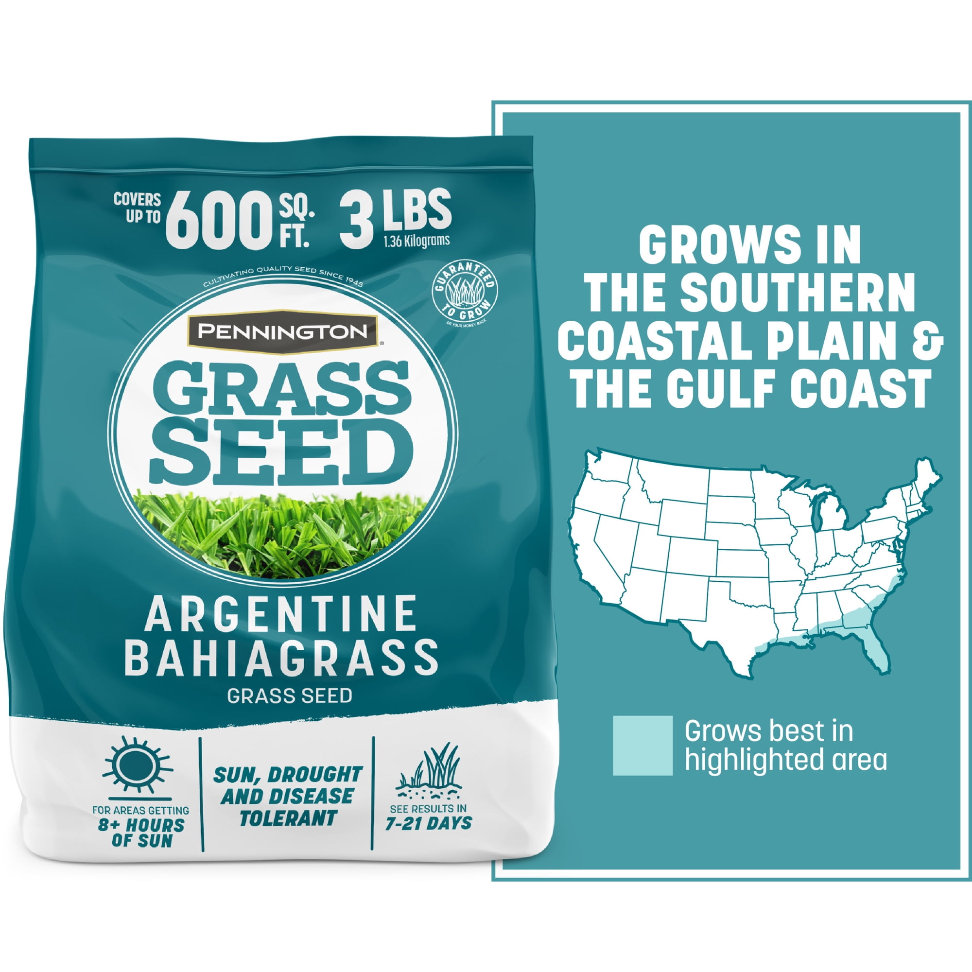 Pennington Argentine Bahiagrass Grass Seed, Grass Seed for Full Sun, 3 lb.