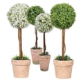 thumbnail image 2 of Planta en Maceta Bearachild Decoración Realista FY118-Bebé Lágrima Verde, 2 of 6