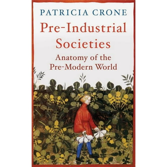 Pre-Industrial Societies : Anatomy of the Pre-Modern World (Paperback)
