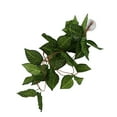 thumbnail image 3 of Herwey Simulation Rattan Landscaping, Climbing Pet Box Green Vine Landscaping Shape For Decoration And Landscaping Of Fish Tanks, 3 of 8