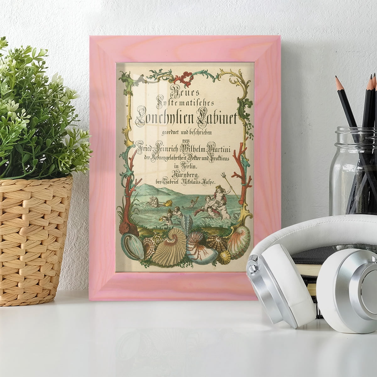 Cabinet of Conchology -Framed Print w/glass-Sunset Pink