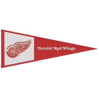 NHL Detroit Red Wings 6x19 3D Stadium Banner