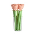thumbnail image 3 of Magnetic Chip Clips Rose Flower 5 Pack Strong Seal Food Bags Keep Fresh Kitchen Organization Refrigerator Storage, 3 of 3