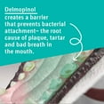 thumbnail image 4 of Oravet 14 Count Oravet Dental Hygiene Chew for Small Dogs, 4 of 8