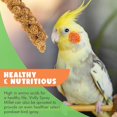 thumbnail image 6 of Vivlly 5LBS GMO-Free Sun Dried Spray Millet - Original Bird Treat Millet for Parakeets, Cockatiels, Finches & More - Non-GMO, High in Amino Acids, Easy Storage, Tasty & Healthy Bird Snacks (5 lbs), 6 of 8