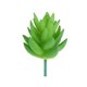 thumbnail image 1 of Mini plantas simuladas suculentas Matsuzay 10 piezas Flores artificiales tipo 38, 1 of 6
