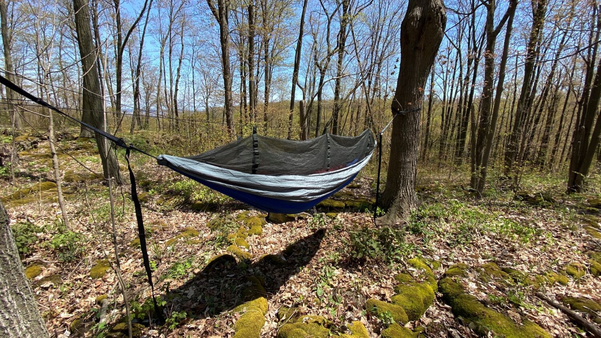 Hidden Wild Travel Hammock with Bug Net - 9.75' - Blue