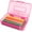 Pink, variant on Djiypn 2 Pack Hard Cases, Plastic Translucent Box with Tight Lid, Office Supplies Storage Organizer Box