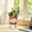 Cat, variant on koolsoo Girl Figurine Planter Pot Cute Plant Container for Balcony Housewarming Gift Swan