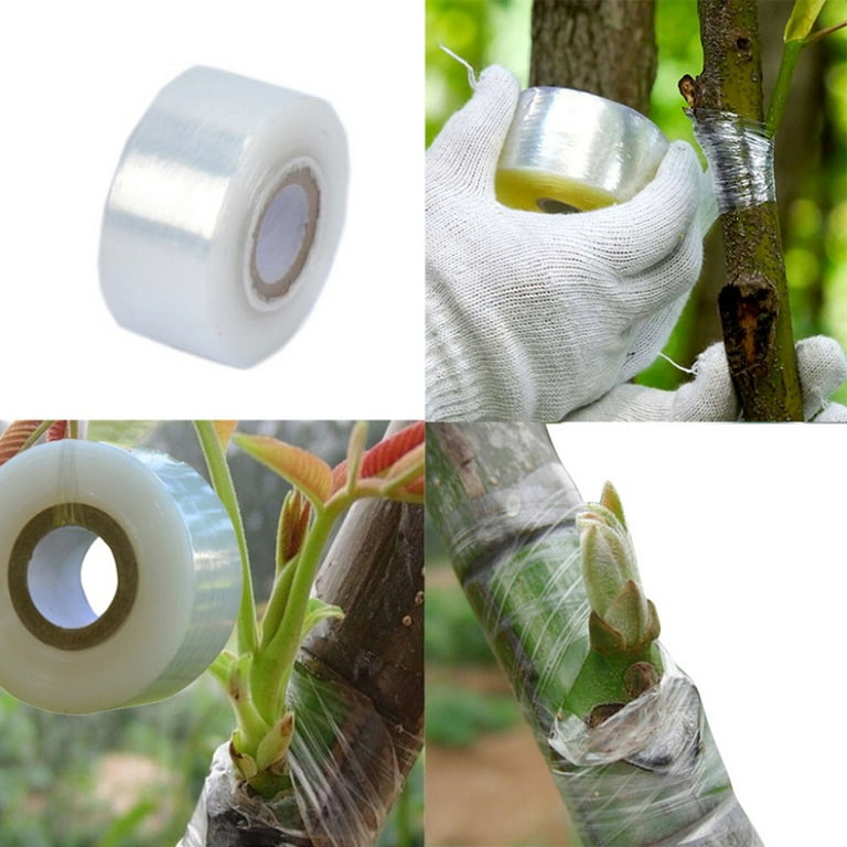1Roll Grafting Tape Strecth Self Adhesive Parafilm Pruning Strecth Film For  Fruit Tree Budding Nursery Orchard Floristry Plant Color: Green 2cm