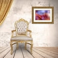 thumbnail image 3 of Nan, Juliana 24x18 Gold Ornate Wood Framed with Double Matting Museum Art Print Titled - Dance In The Light..., 3 of 4