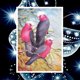 thumbnail image 1 of 30x40 cm 5D DIY Pintura de Diamante Completa, El Loro, Pintura de Punto de Cruz con Lienzo de Diamantes de imitación de Bricolaje por número para decoración de Pared Adultos y niños, 1 of 5