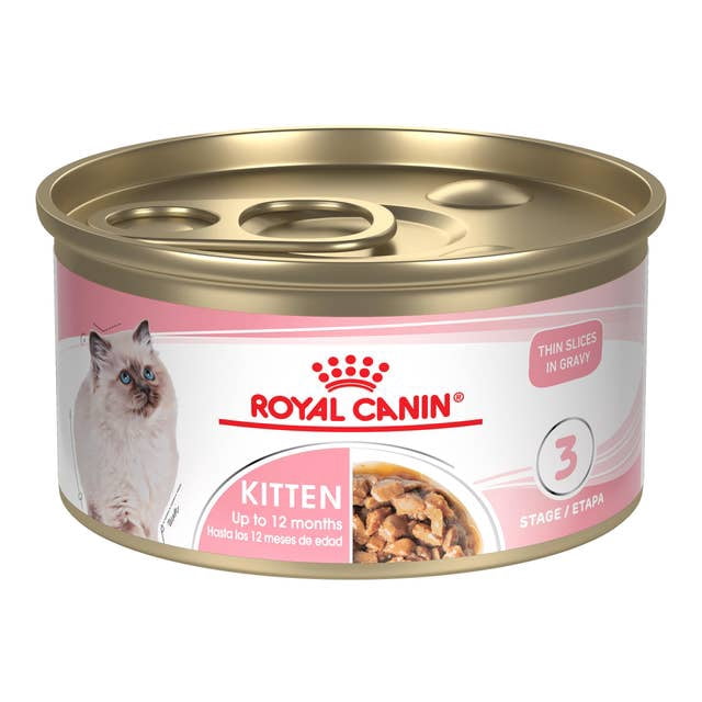 Royal Canin Kitten Cat Wet Food in jelly 12x85g