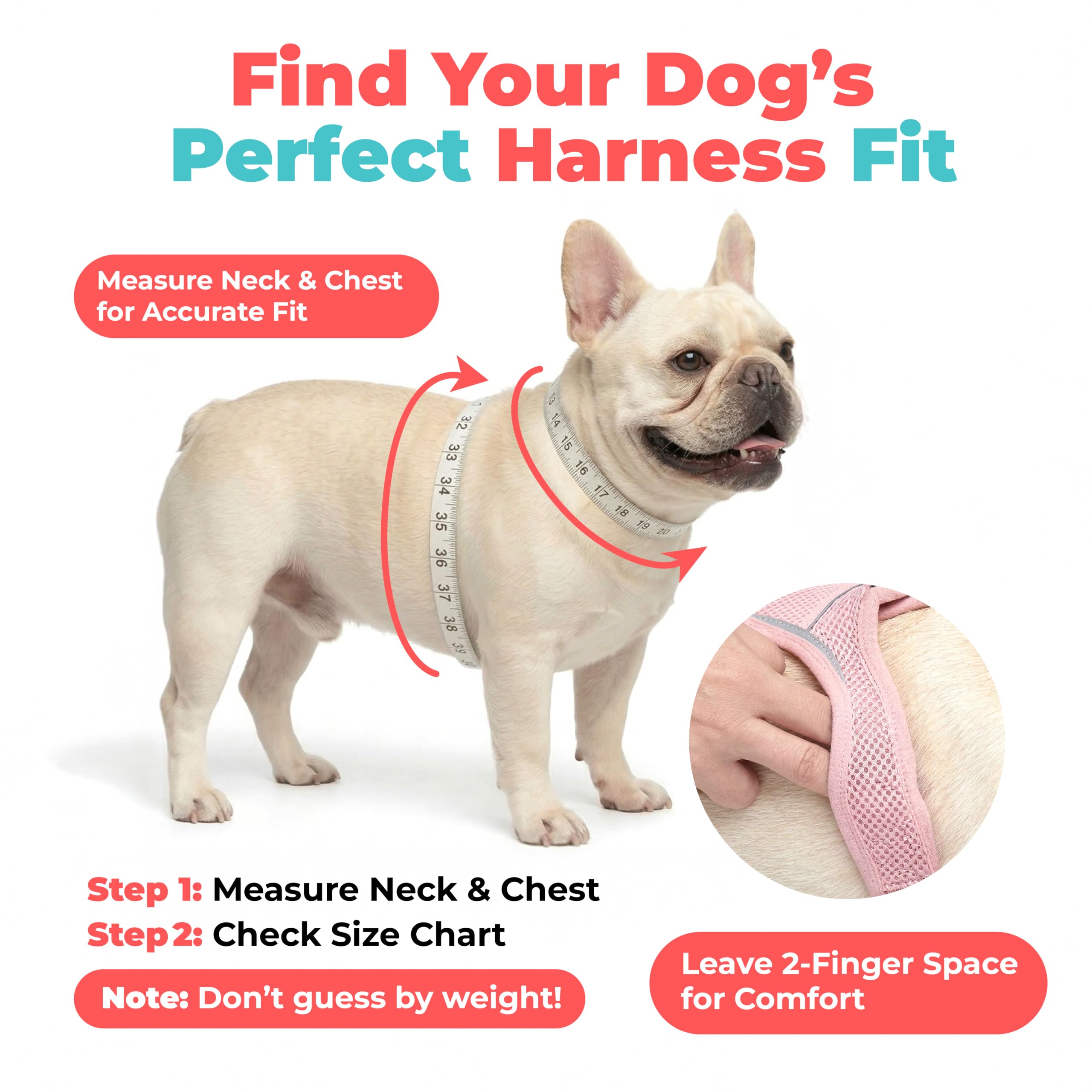 Voyager Step-In Air Mesh Dog Harness photo 6