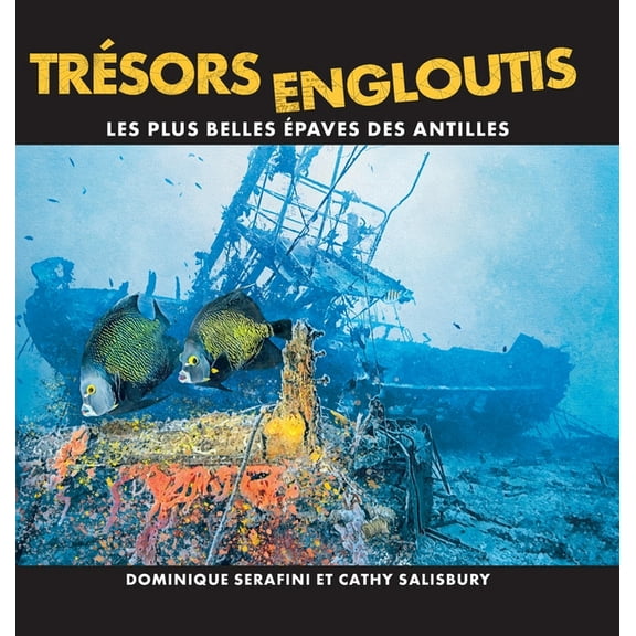 Trésors Engloutis: Les plus belles épaves des Antilles, (Hardcover)