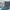 Palm, variant on No Boundaries Men's Beach Flip Flop Sandals
