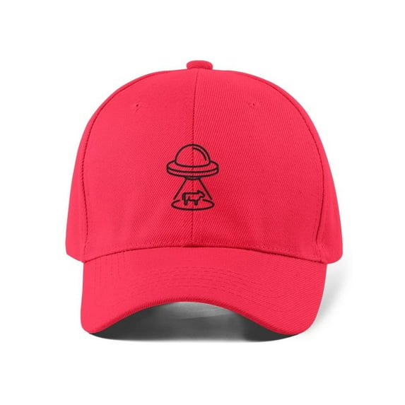Ufo And Cow Hat -Image by Shutterstock, Small