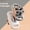 White, variant on CNV Smart 6-Node Deep Tissue Massager with Soothing Heat, High-Torque Percussion Device for Full Body Muscle Conditioning, 6 Speed Levels, LCD Display