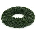 thumbnail image 2 of 3rd Street Inn 17" Indoor/Outdoor Boxwood Wreath (L, 2 Pack), 2 of 3