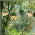 thumbnail image 3 of Langgg Plant Window Sticker Exquisite PVC Indoor Room Decoration Self-adhesive Dual-sided Bonsai Glass Decal Scene Layout Accessory, 3 of 6