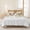 Orange, variant on 3 Pieces Queen Quilt Set,Sunflower Fall Eucalyptus Leaves Seamless Soft Bedding Sets with 1 Quilt&2 Pillow Shams,Happy Thanksgiving Fallen Leaf Summer Bedspread Lightweight Coverlet Comforter