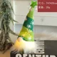 thumbnail image 3 of Adornos de gnomo de muñeco sin rostro de Navidad con luz LED, artesanías de tejido de felpa, colgante de árbol, decoraciones navideñas para el hogar, regalo para niños, 3 of 5