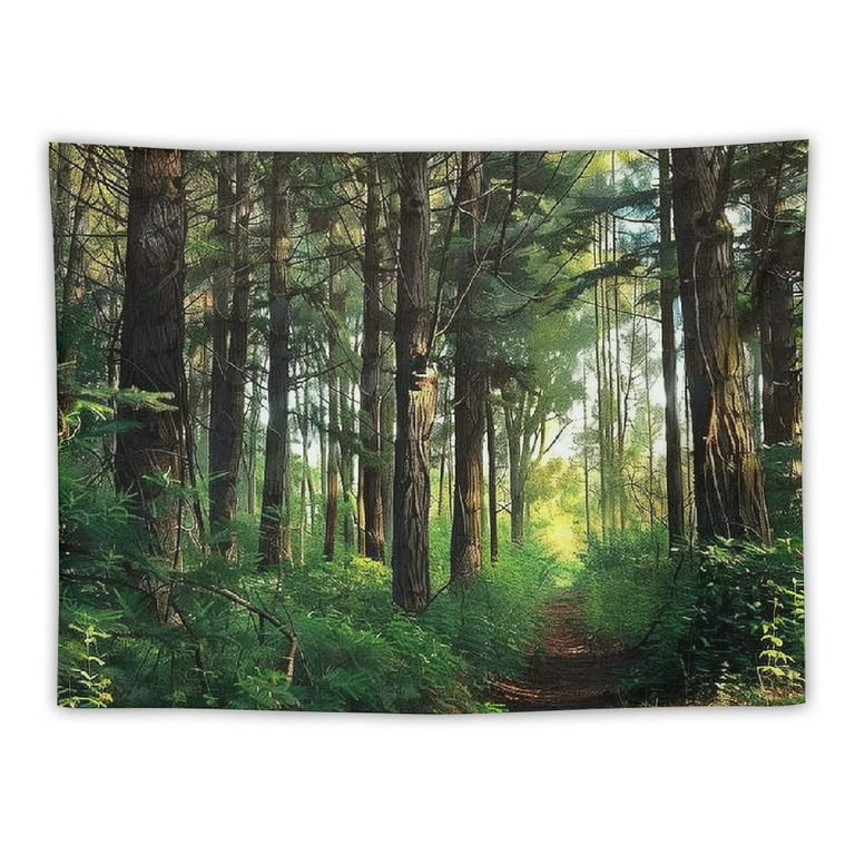 BCIIG Forest Tapestry Pathway in a Shady Forest of Bushes and Thick Trunks Grass Unique Wild Life Scenery Wide Wall Hanging for Bedroom Living Room Dorm Walmart