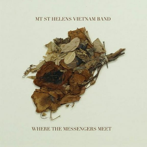 MT. St. Helens Vietnam Band - Where the Messengers Meet - Music & Performance - CD