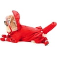 thumbnail image 4 of LANFENG Cute Raincoat for Small Dogs with Hood and Boots Detachable Tail Puppy Botton Down Rain Jacket Full Boby 4 Leg Jumpsuit Waterproof Lightweight Clothes, 4 of 16