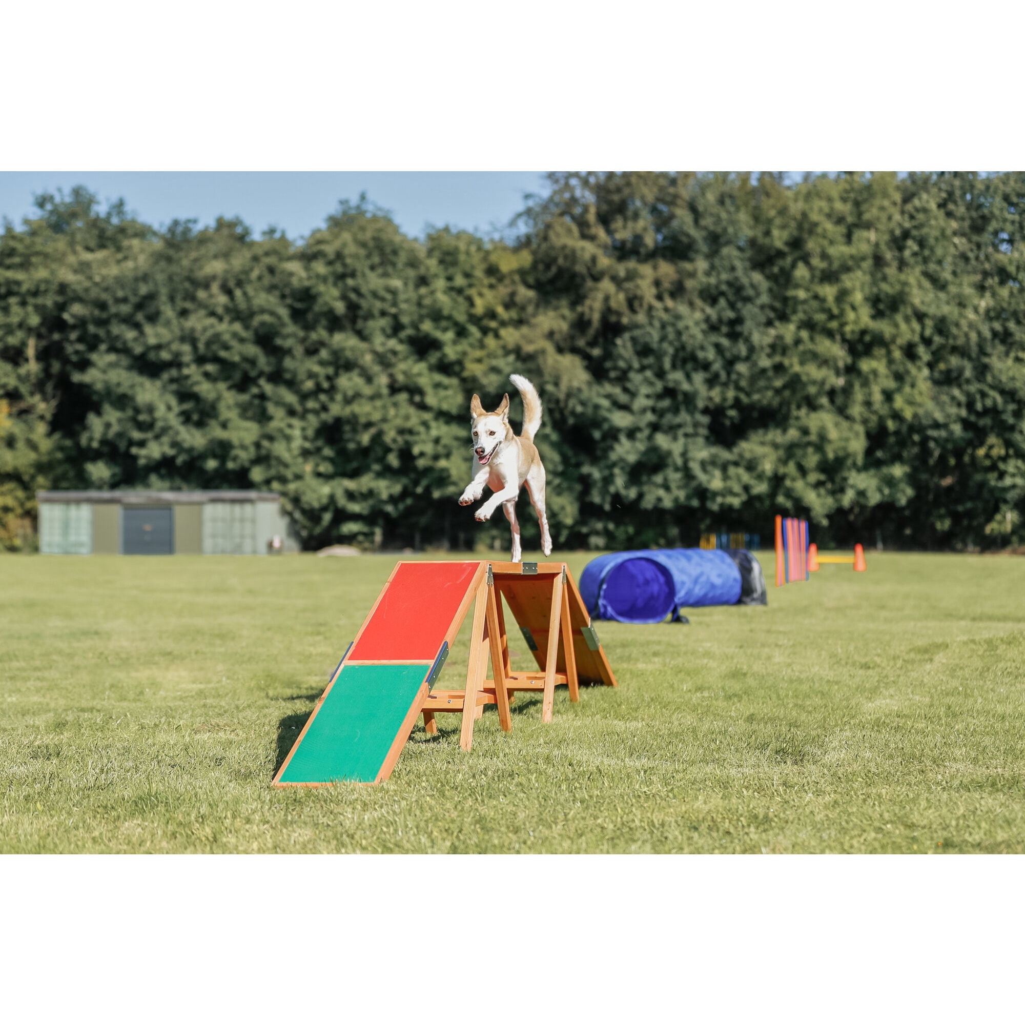 TRIXIE Dog Agility Dogwalk, Canine Agility Training, Obedience Training