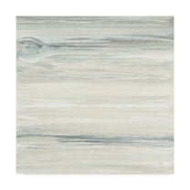 Trademark Fine Art 'Wood Panel I' Canvas Art by Chris Paschke