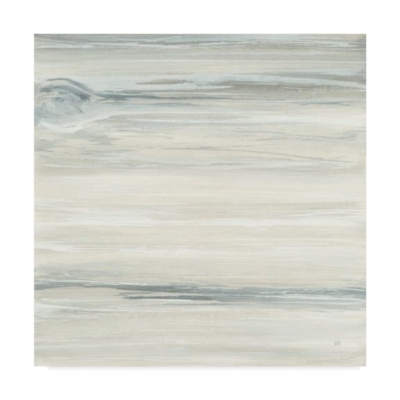 Trademark Fine Art 'Wood Panel I' Canvas Art by Chris Paschke