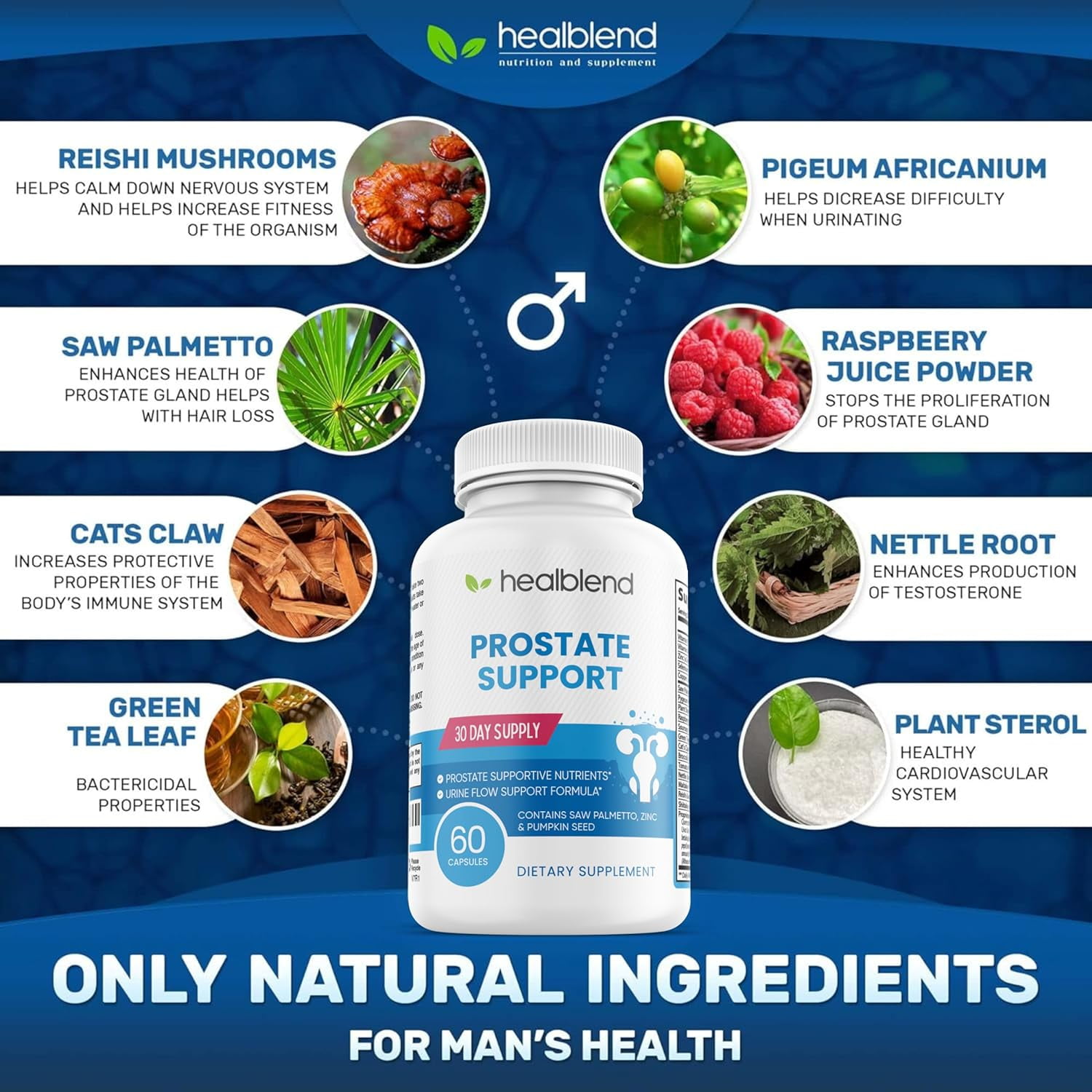 Healblend Prostate Support Supplement for Men - Improves Urinary Health, Bladder Discomfort, Promotes Sleep with Pygeum and Saw Palmetto - 60 Capsules (3 Pack)