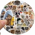 thumbnail image 4 of 50pcs Cat MEME Animals Stickers Toy Graffiti Decals for Kids, 4 of 5