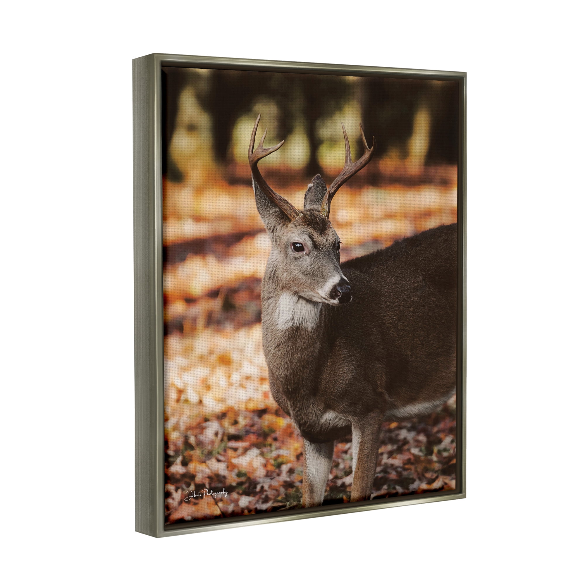Stupell Industries Deer in Fall Foliage Animals & Insects Photography Gray Floater Framed Art Print Wall Art, 25 x 31