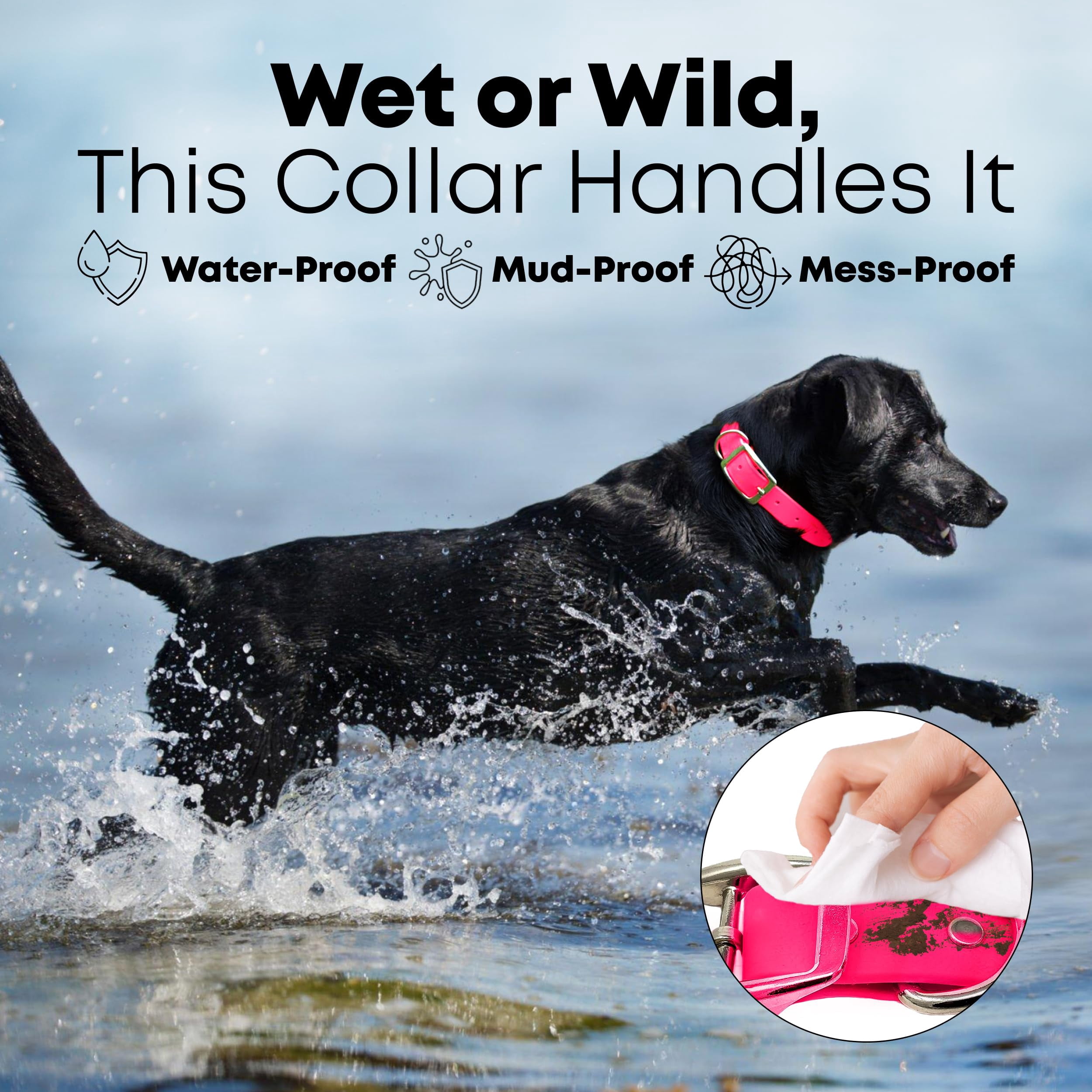 Regal Dog Products Waterproof Collar & 5ft Leash Set Heavy Duty Biothane