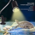 thumbnail image 4 of Costyle Reptile Lamp 25/50/75W UVA+UVB 3.0 Pet Heat Lamp Bulb Turtle Basking Light Bulbs, 4 of 5
