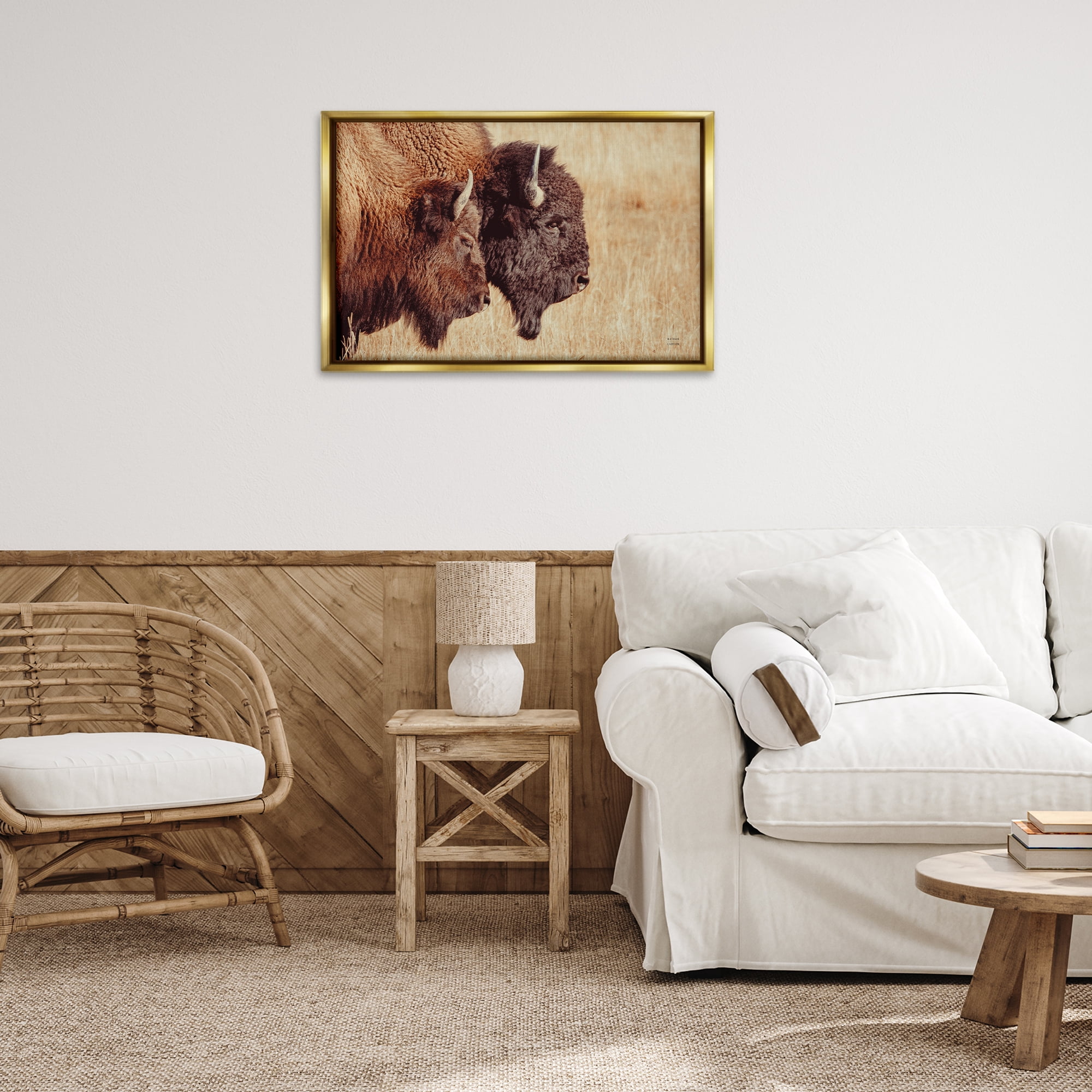Stupell Industries Bison Pair in Countryside Animals Photography Gold Floater Framed Canvas Art Print Wall Art, 31 x 21
