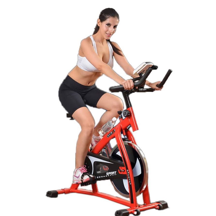 loefme Exercise Training Bike Indoor Cycling Bicycle Trainer LCD Monitor 