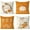 Flower Pumpkin, variant on Fall Pillow Covers 18x18 inch Set of 4 for Fall Decor Pumpkin Autumn Harvest Outdoor Fall Pillows Decorative Throw Pillows Farmhouse Thanksgiving Decorations