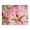 2026 Hummingbirds, variant on Current 2026 Love Those Cats 12 x 9-inch Wall Calendar, Bookstore-Quality, Spiral-Bound