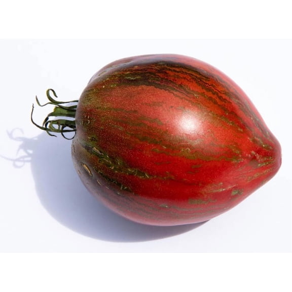Rebel Starfighter Prime Tomato Premium Seed Packet