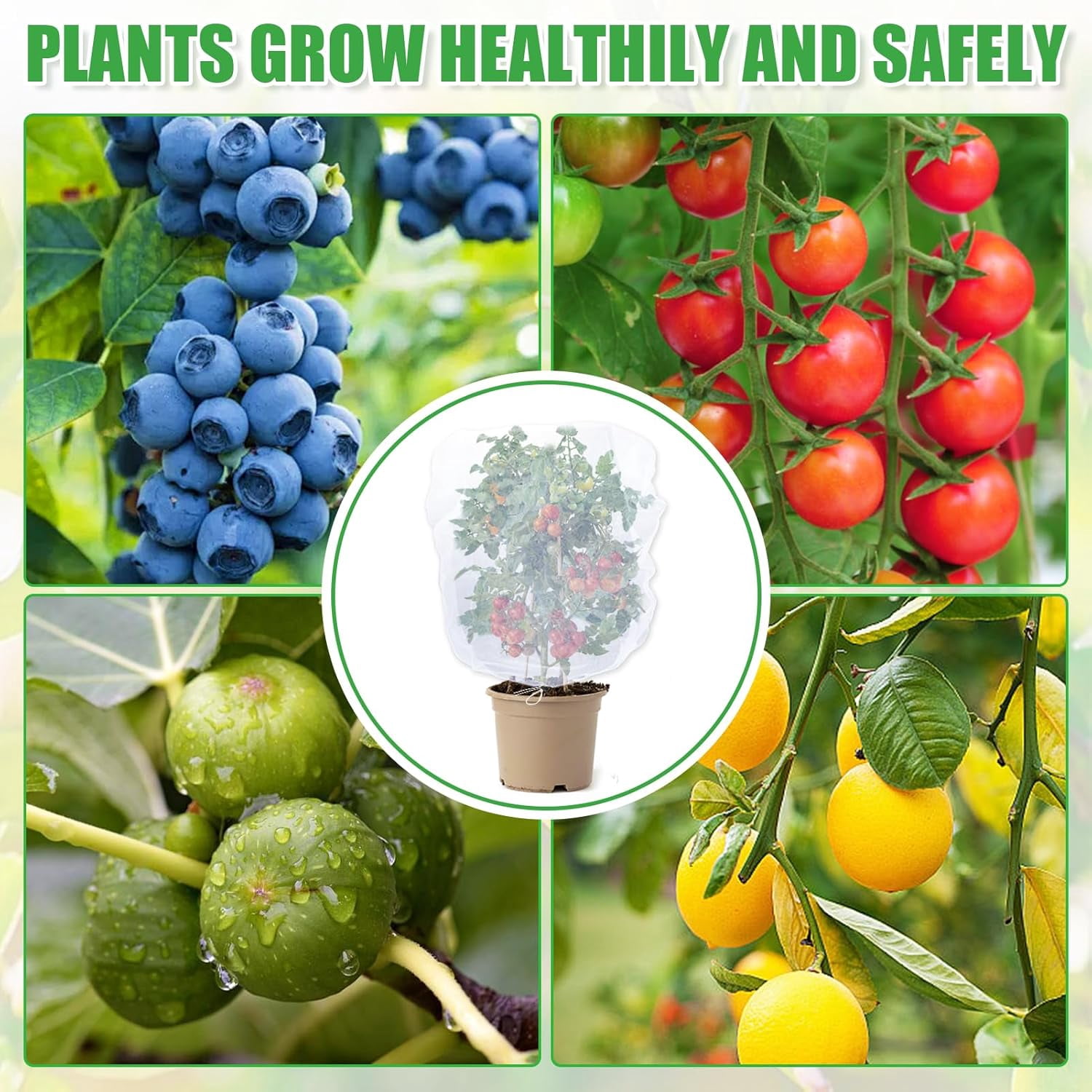 6 Pack Insect Bird Netting Cover - 3.3x2.6FT Garden Netting Blueberry Bushes Plant Covers with Drawstring, Fine Mesh Fruit Tree Net for Protecting Plants from Barrier Squirrel Deer