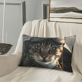 thumbnail image 5 of Zufioo Pilot Cat In Vintage Plane Print Double-sided Plush Pillow Cover,Decorative Pillow Protector without Pillow Core, Suitable for Sofa, Bedroom, Car-20"x30", 5 of 6