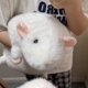 thumbnail image 3 of Lindo Realista Ratón Grande, 3 of 5