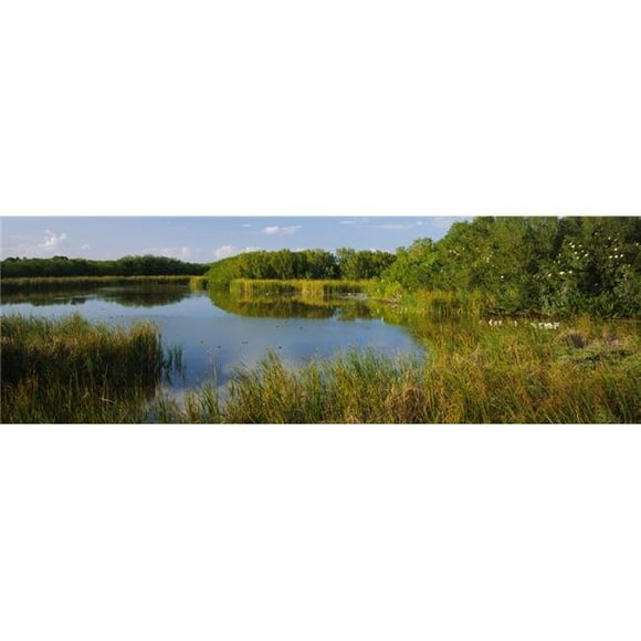 Panoramic Images PPI45931S Pond in A Forest Eco Pond Flamingo Campground Everglades National Park Florida USA Poster Print, 27 x 9