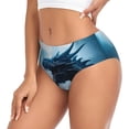 thumbnail image 2 of Balery Blue Thunder Storm Dragon Ropa Interior de Algodón para Mujer con Dibujo – Braguitas Cómodas y Elásticas, Estilo Clásico-3X-Large, 2 of 6