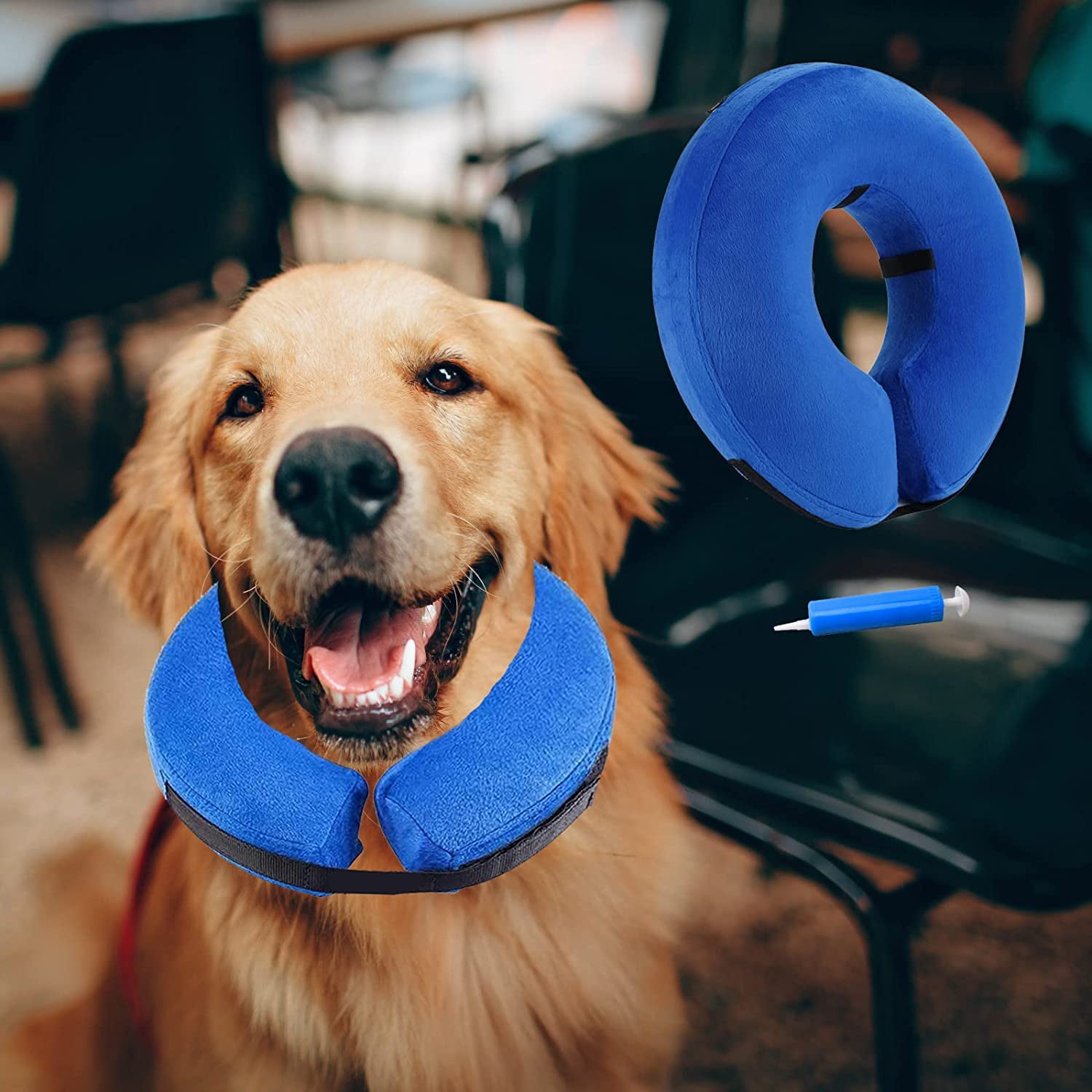 How To Make A Pool Noodle Dog Collar Healthy Homemade Dog Treats