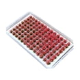 thumbnail image 4 of jifeng Artificial DIY Miniature Flower Cluster Grass Tufts Diorama Layout Scenery Model Pink Red, 4 of 9